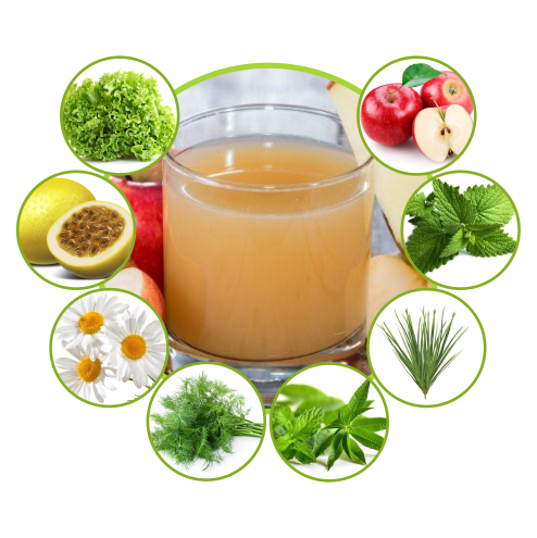 Sucos detox em Canoas, RS Sucos detox em Canoas, RS